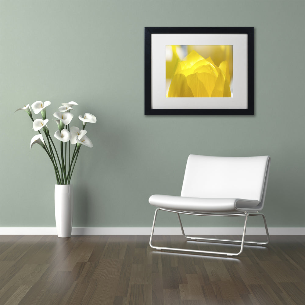 Kurt Shaffer Yellow Tulip Black Wooden Framed Art 18 x 22 Inches Image 2