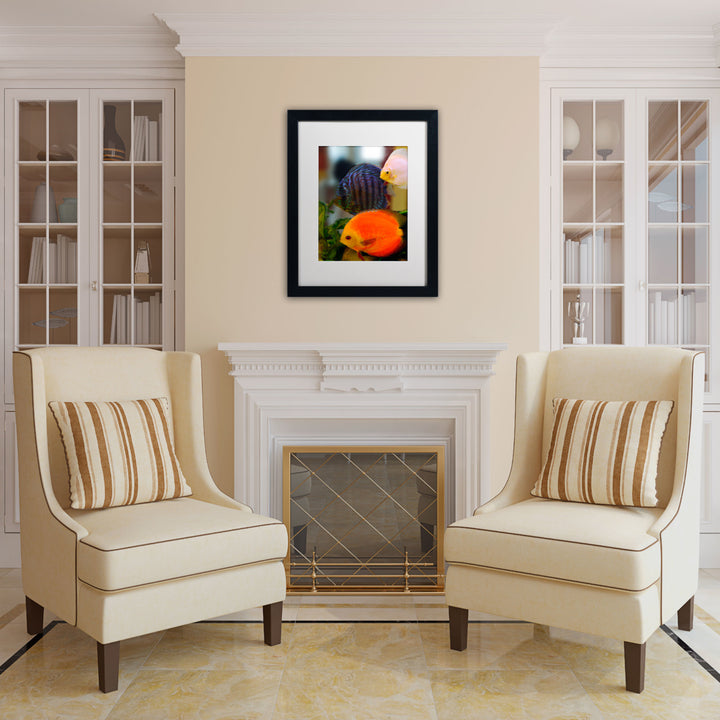 Kurt Shaffer Multi-colored Discus Black Wooden Framed Art 18 x 22 Inches Image 2