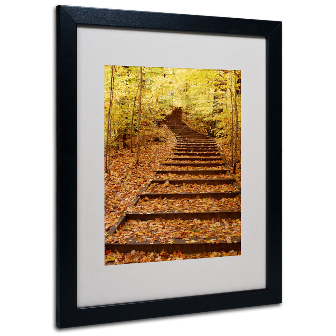 Kurt Shaffer Fall Stairway Black Wooden Framed Art 18 x 22 Inches Image 1