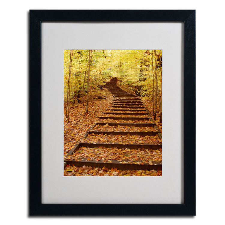 Kurt Shaffer Fall Stairway Black Wooden Framed Art 18 x 22 Inches Image 2