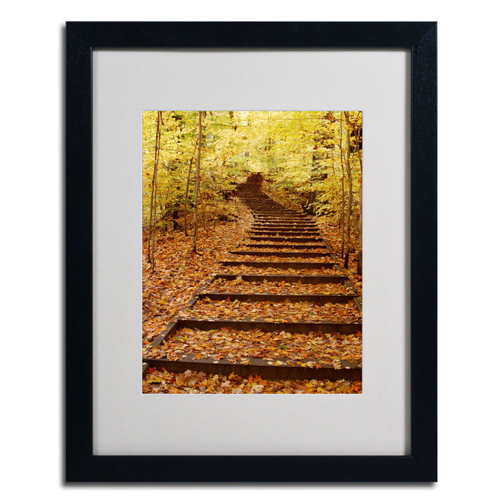 Kurt Shaffer Fall Stairway Black Wooden Framed Art 18 x 22 Inches Image 3