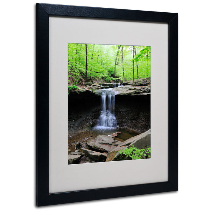 Kurt Shaffer Blue Hen Falls Black Wooden Framed Art 18 x 22 Inches Image 1