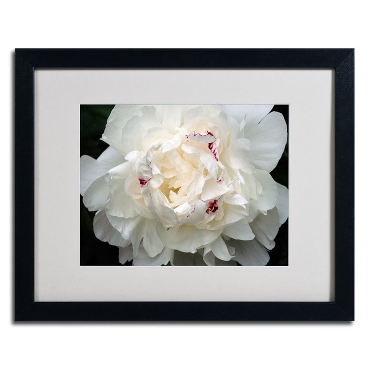 Kurt Shaffer Perfect Peony Black Wooden Framed Art 18 x 22 Inches Image 2