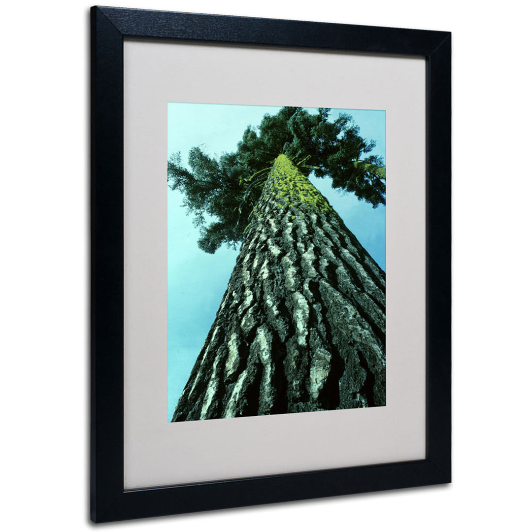 Kurt Shaffer A Tree of Life Black Wooden Framed Art 18 x 22 Inches Image 1