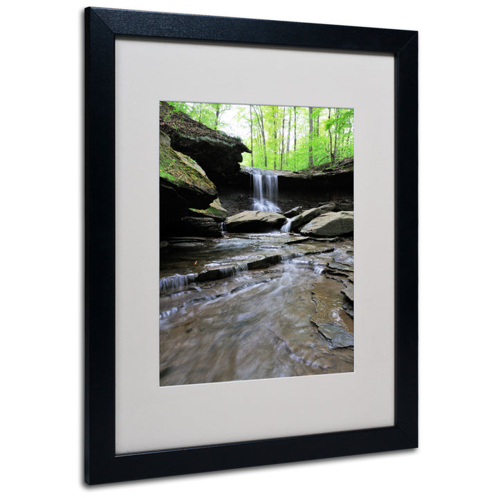 Kurt Shaffer Blue Hen Falls in Spring Black Wooden Framed Art 18 x 22 Inches Image 1