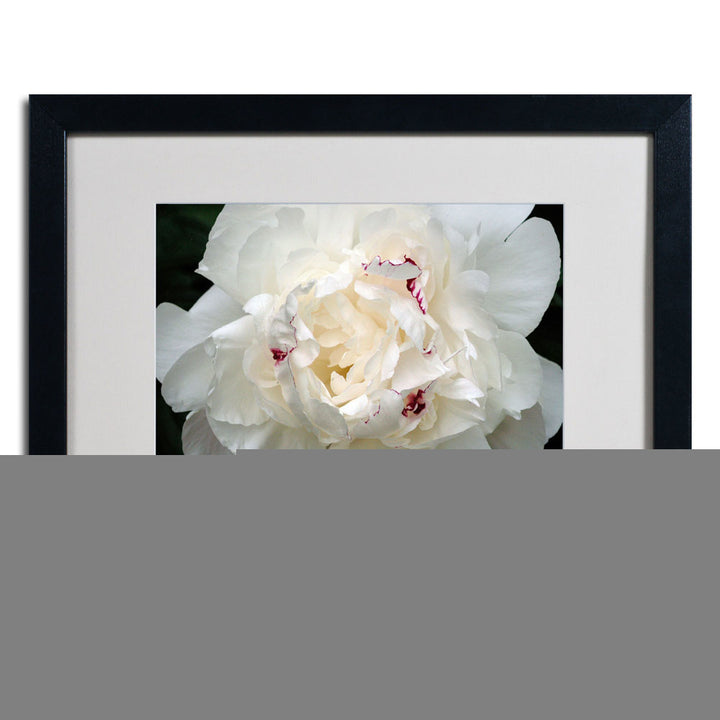 Kurt Shaffer Perfect Peony Black Wooden Framed Art 18 x 22 Inches Image 3