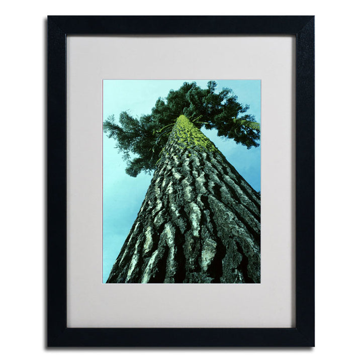 Kurt Shaffer A Tree of Life Black Wooden Framed Art 18 x 22 Inches Image 2