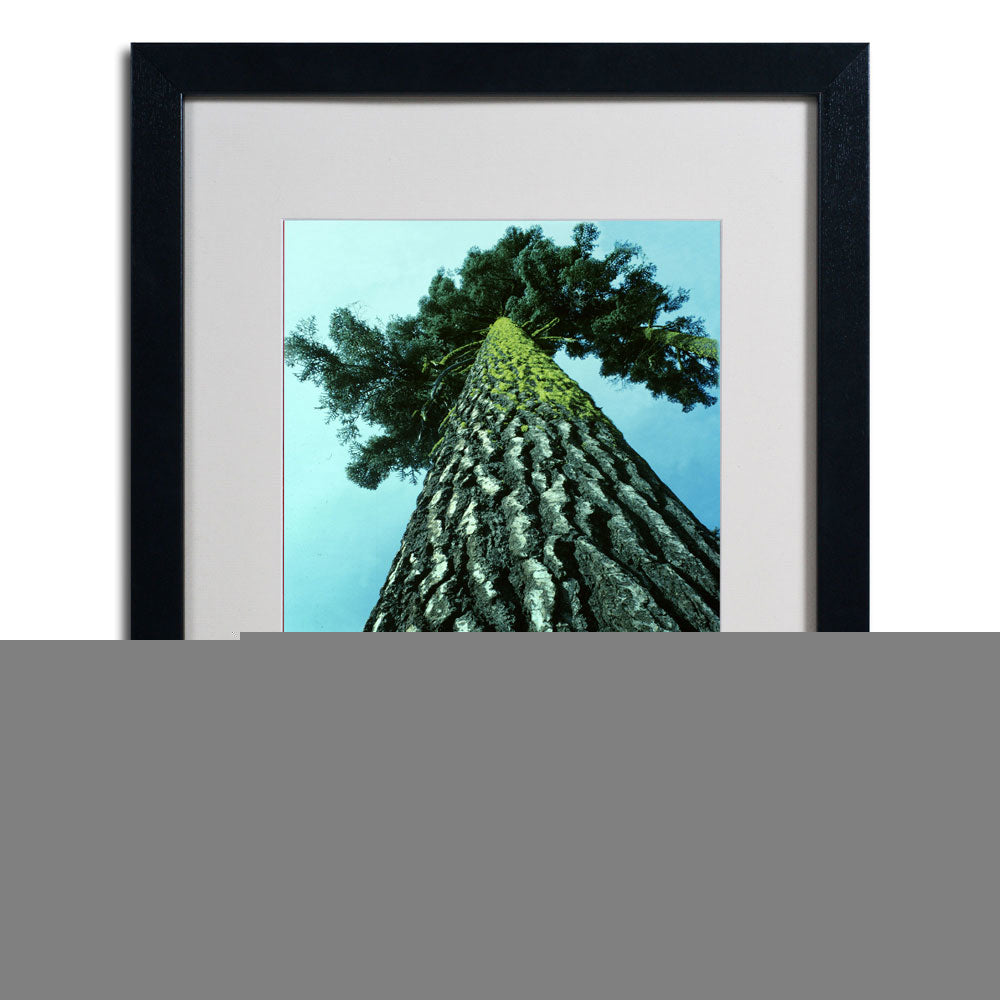 Kurt Shaffer A Tree of Life Black Wooden Framed Art 18 x 22 Inches Image 3