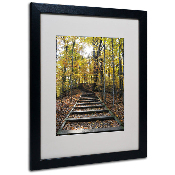 Kurt Shaffer Fall Stairway 2 Black Wooden Framed Art 18 x 22 Inches Image 1