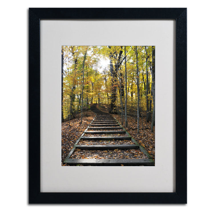 Kurt Shaffer Fall Stairway 2 Black Wooden Framed Art 18 x 22 Inches Image 2