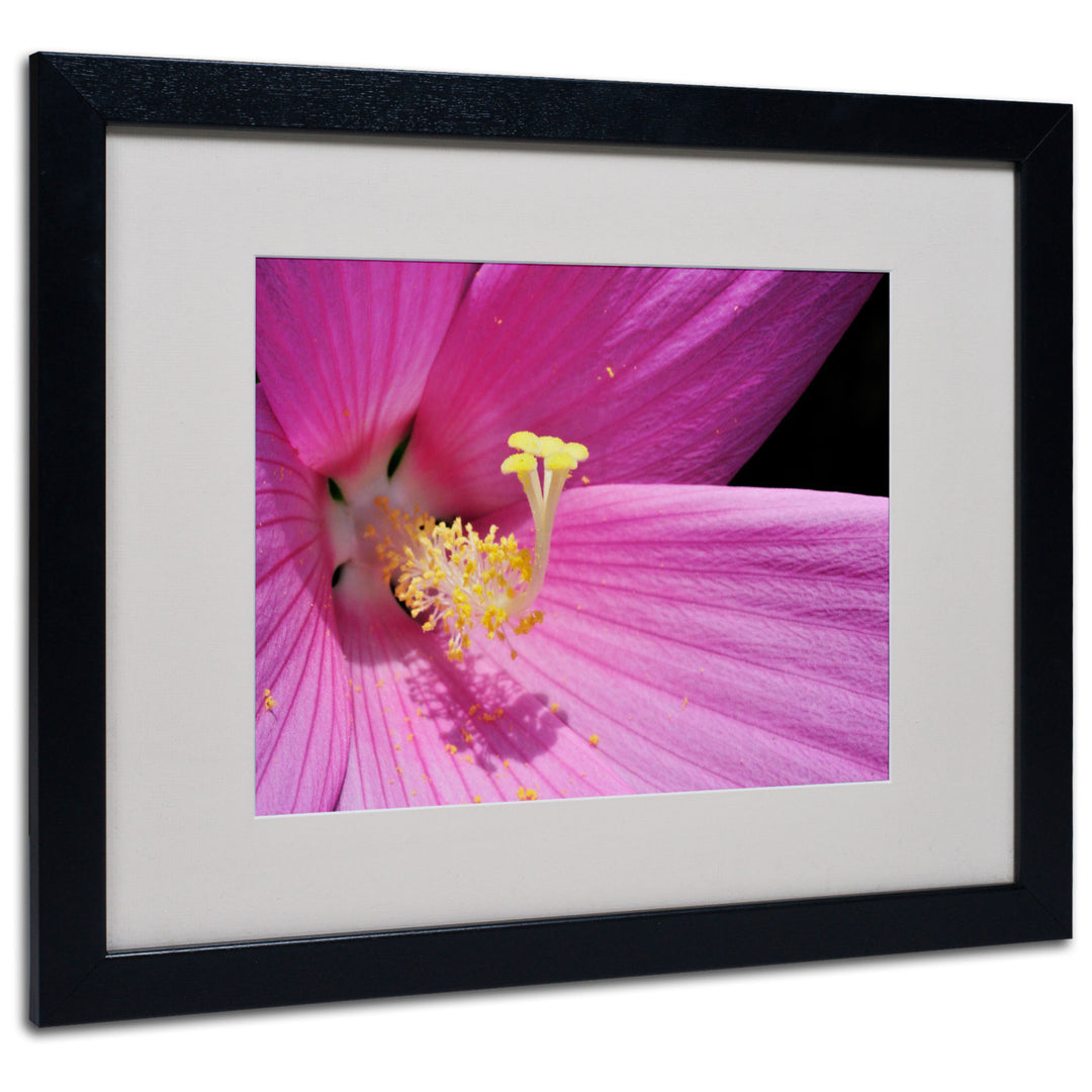 Kurt Shaffer Inside a Pink Hibiscus Black Wooden Framed Art 18 x 22 Inches Image 1