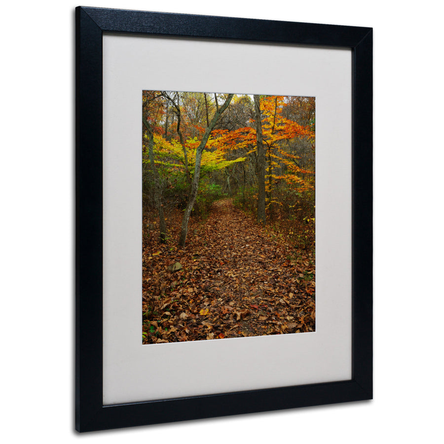 Kurt Shaffer Late Autumn Hike Black Wooden Framed Art 18 x 22 Inches Image 1