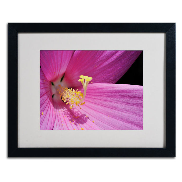 Kurt Shaffer Inside a Pink Hibiscus Black Wooden Framed Art 18 x 22 Inches Image 2