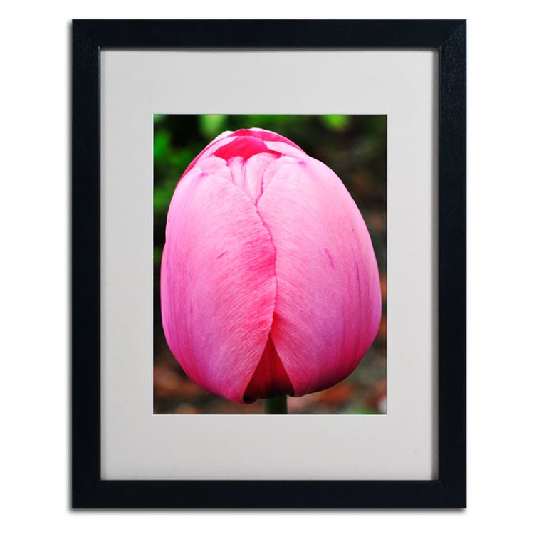 Kurt Shaffer Perfect Pink Tulip Black Wooden Framed Art 18 x 22 Inches Image 2