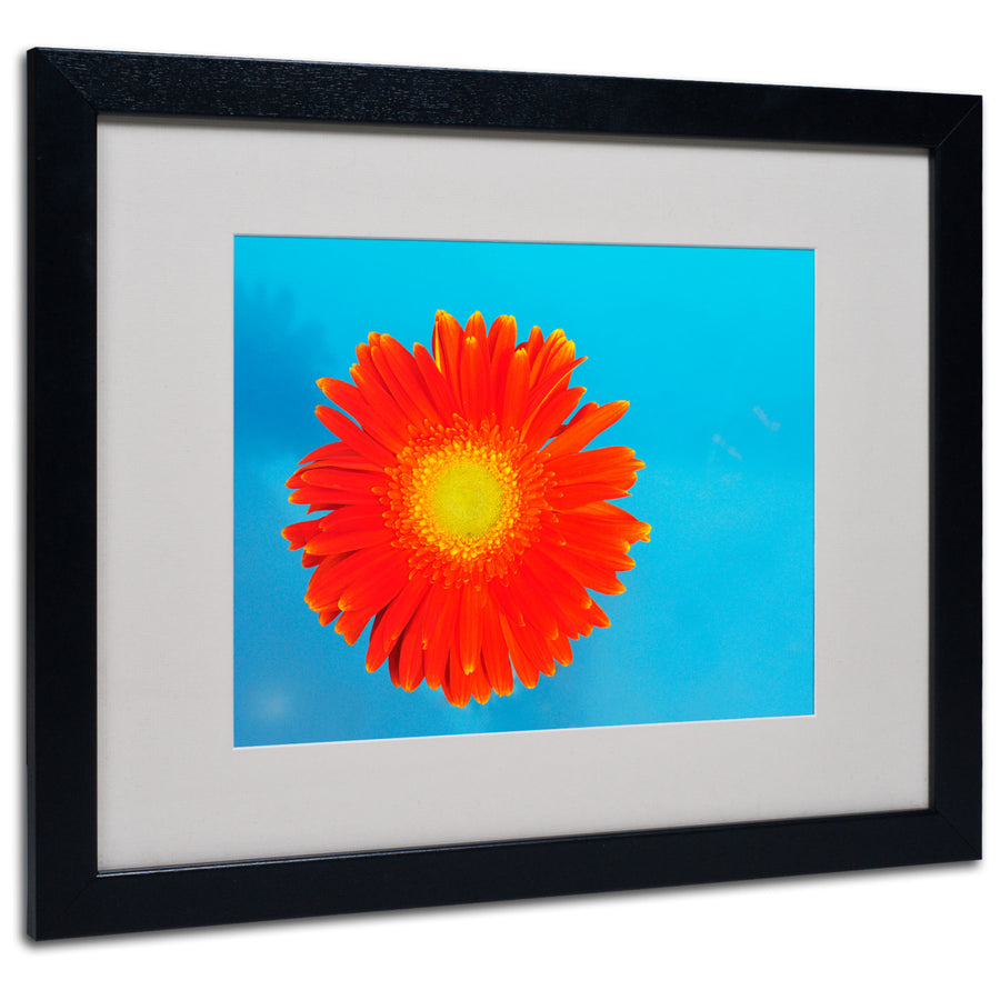 Kurt Shaffer Orange and Blue Black Wooden Framed Art 18 x 22 Inches Image 1