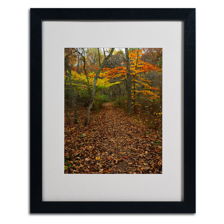 Kurt Shaffer Late Autumn Hike Black Wooden Framed Art 18 x 22 Inches Image 2