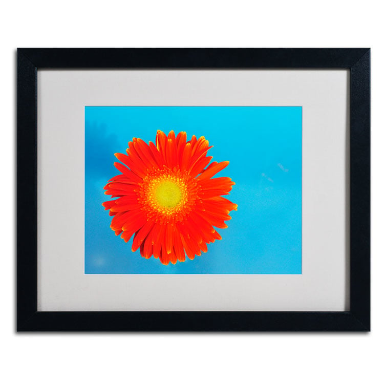 Kurt Shaffer Orange and Blue Black Wooden Framed Art 18 x 22 Inches Image 2