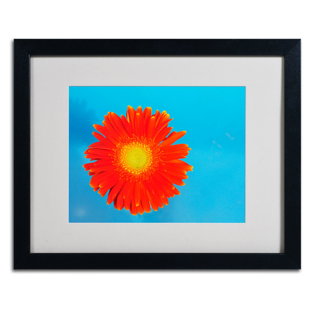 Kurt Shaffer Orange and Blue Black Wooden Framed Art 18 x 22 Inches Image 3