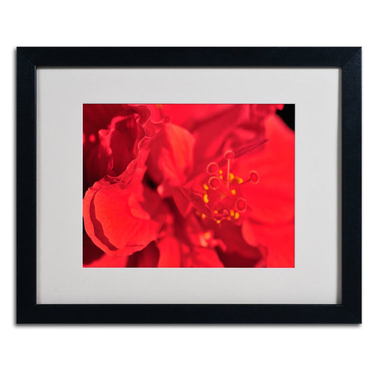 Kurt Shaffer Red Red Hibiscus Black Wooden Framed Art 18 x 22 Inches Image 2