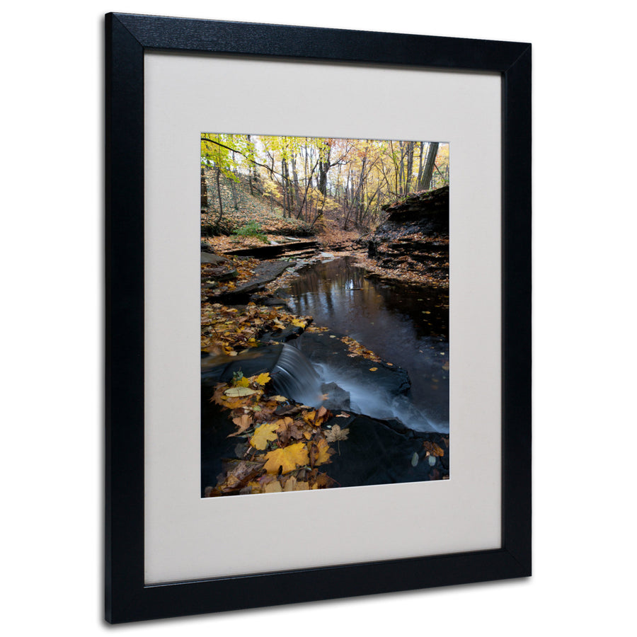 Kurt Shaffer Autumn Stream Black Wooden Framed Art 18 x 22 Inches Image 1