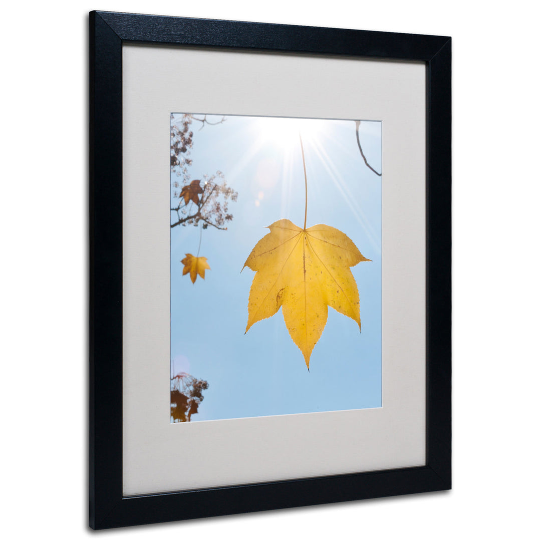 Kurt Shaffer Autumn Inspiration Black Wooden Framed Art 18 x 22 Inches Image 1