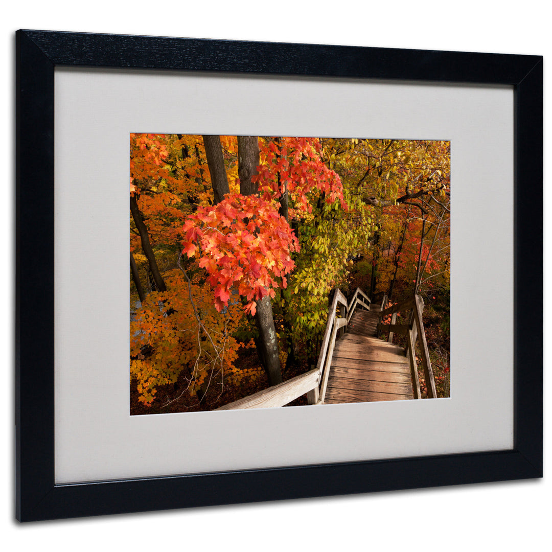 Kurt Shaffer Brilliant Autumn Stairway Black Wooden Framed Art 18 x 22 Inches Image 1