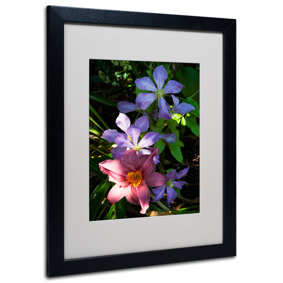 Kurt Shaffer Clematis and Lily Black Wooden Framed Art 18 x 22 Inches Image 1