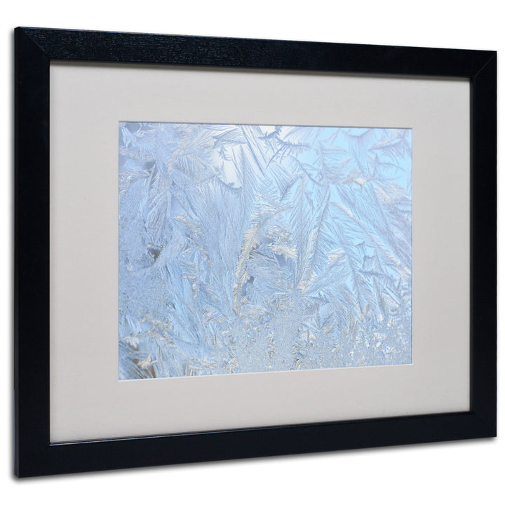 Kurt Shaffer Frost Pattern 3 Black Wooden Framed Art 18 x 22 Inches Image 1