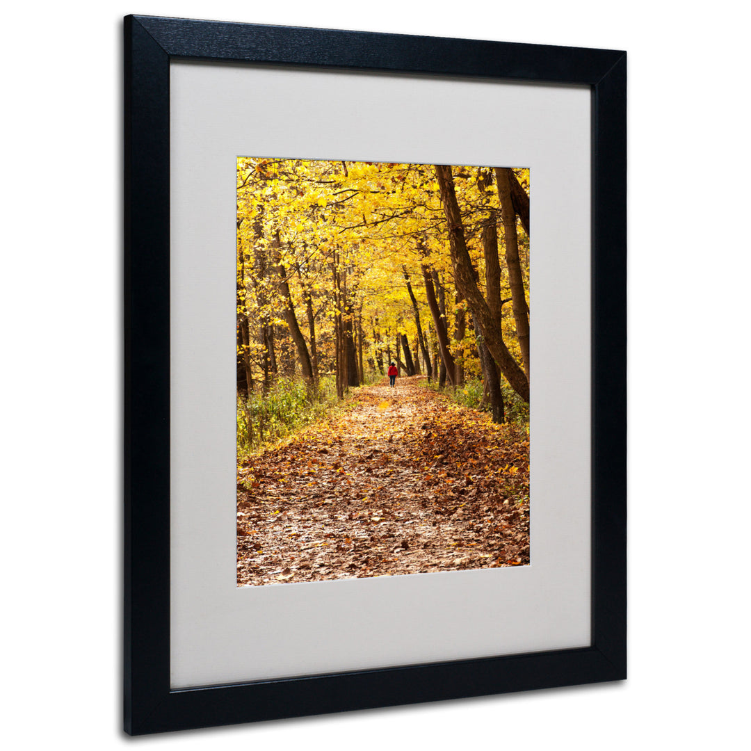 Kurt Shaffer Golden Autumn Walk Black Wooden Framed Art 18 x 22 Inches Image 1