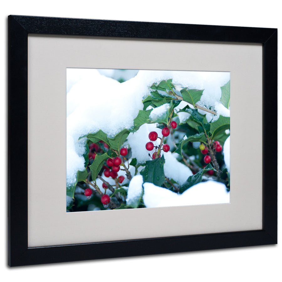 Kurt Shaffer Holly in the Snow Black Wooden Framed Art 18 x 22 Inches Image 1