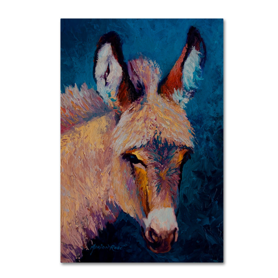 Marion Rose Burro 1 Ready to Hang Canvas Art 12 x 19 Inches Made in USA Image 1