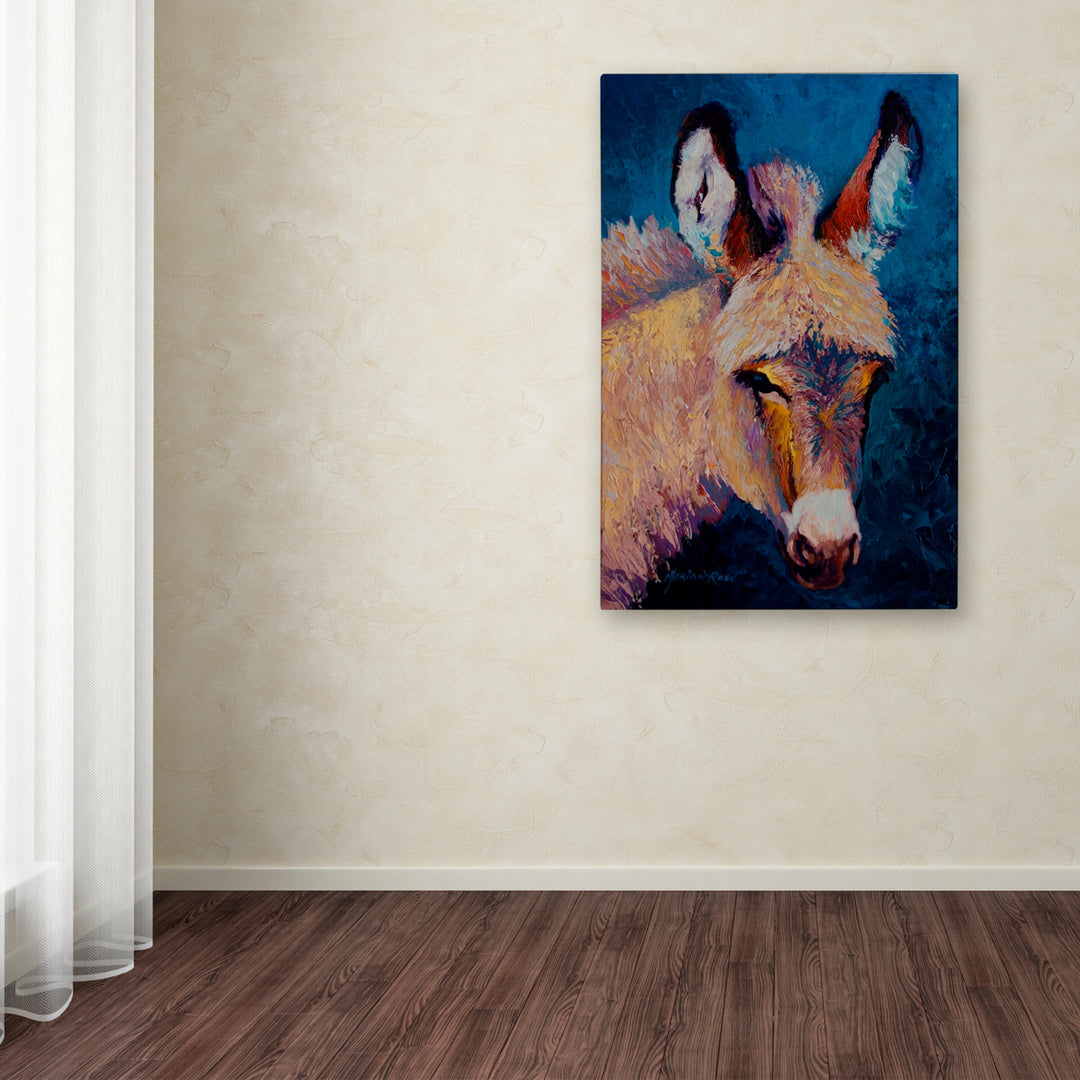 Marion Rose Burro 1 Ready to Hang Canvas Art 12 x 19 Inches Made in USA Image 3