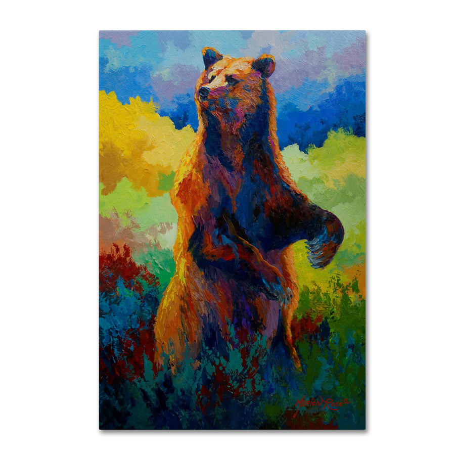 Marion Rose I Spy Grizz Ready to Hang Canvas Art 12 x 19 Inches Made in USA Image 1