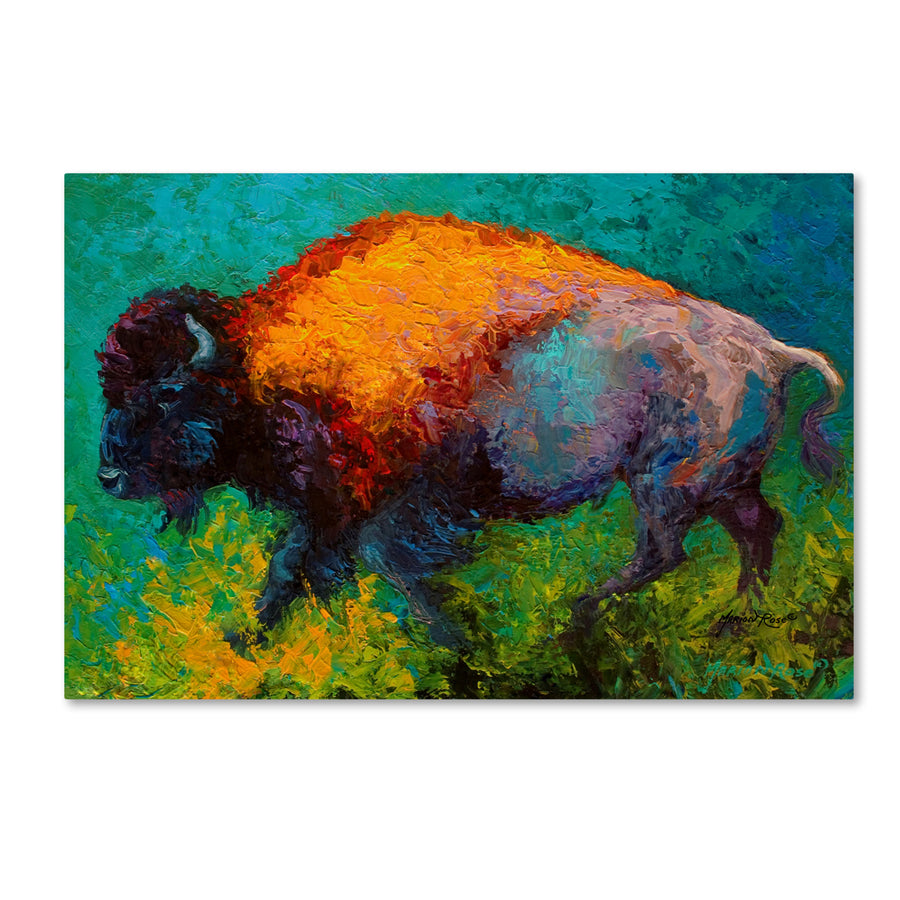 Marion Rose On The Run Bison Ready to Hang Canvas Art 12 x 19 Inches Made in USA Image 1
