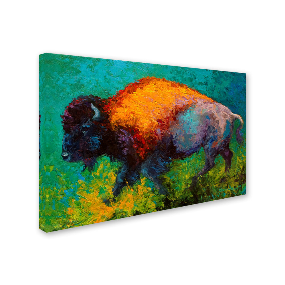 Marion Rose On The Run Bison Ready to Hang Canvas Art 12 x 19 Inches Made in USA Image 2