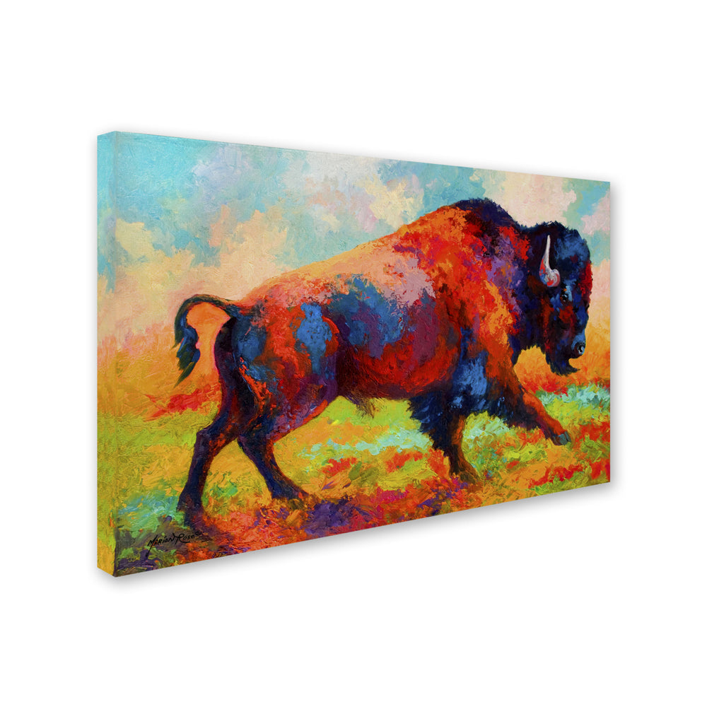 Marion Rose Running Free Ready to Hang Canvas Art 12 x 19 Inches Made in USA Image 2