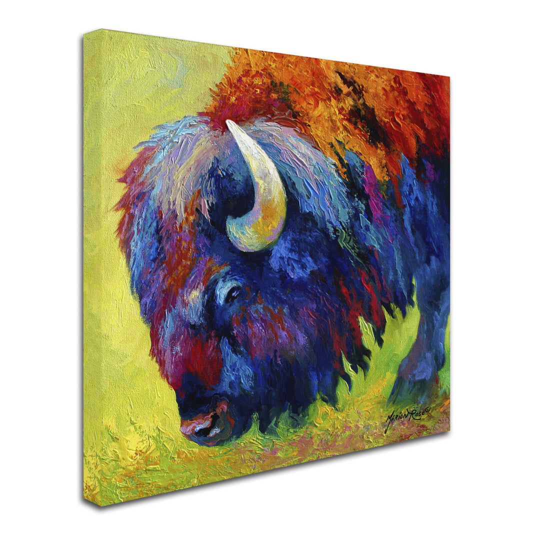 Marion Rose Bison Portrait II Ready to Hang Canvas Art 14 x 14 Inches Made in USA Image 2