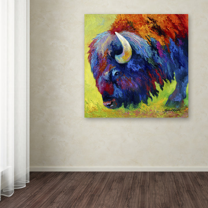 Marion Rose Bison Portrait II Ready to Hang Canvas Art 14 x 14 Inches Made in USA Image 3