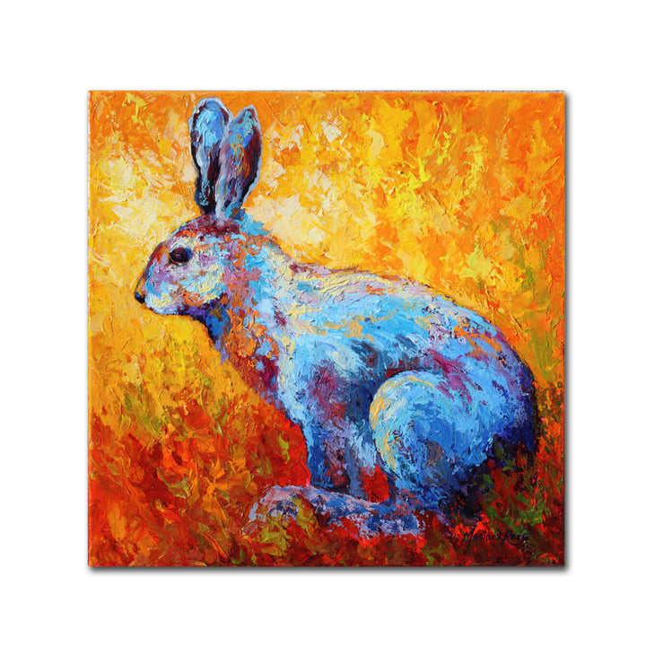 Marion Rose Bunnie (krabbit) Ready to Hang Canvas Art 14 x 14 Inches Made in USA Image 1