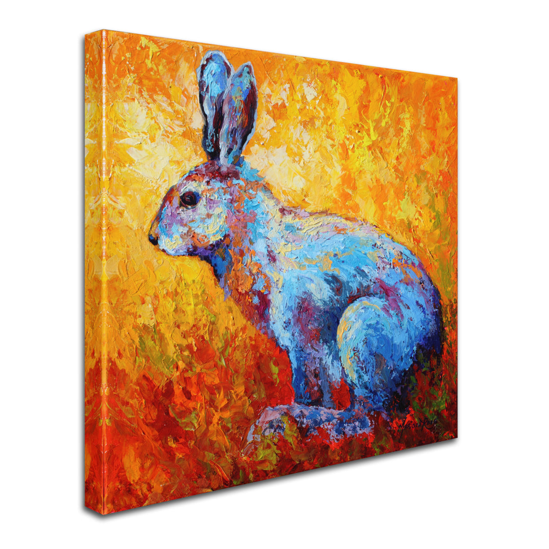 Marion Rose Bunnie (krabbit) Ready to Hang Canvas Art 14 x 14 Inches Made in USA Image 2