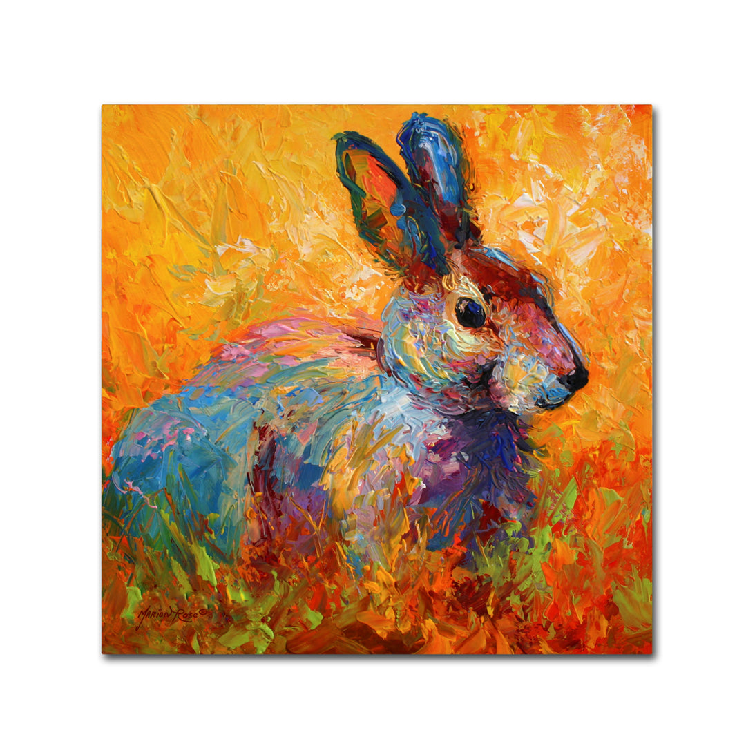 Marion Rose Bunny IV Ready to Hang Canvas Art 14 x 14 Inches Made in USA Image 1