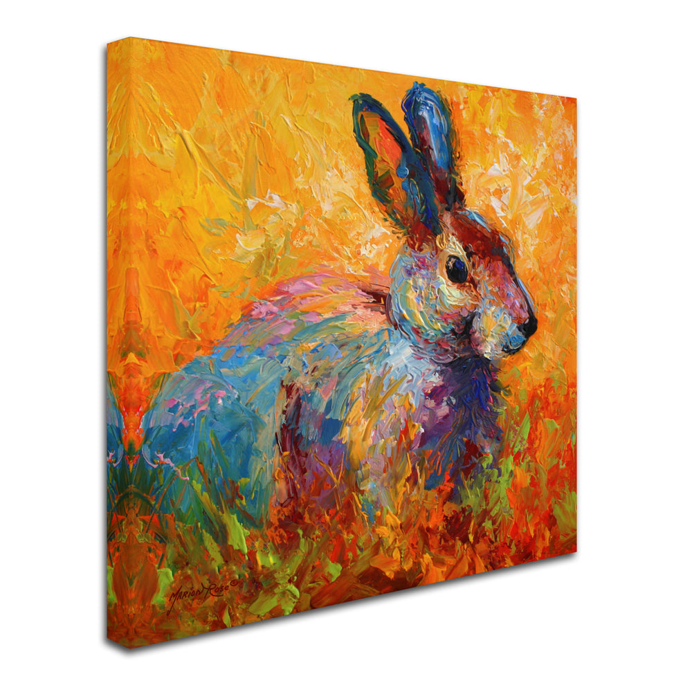 Marion Rose Bunny IV Ready to Hang Canvas Art 14 x 14 Inches Made in USA Image 2