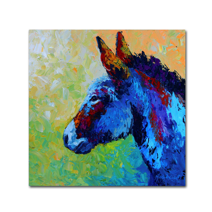 Marion Rose Burro Ready to Hang Canvas Art 14 x 14 Inches Made in USA Image 1