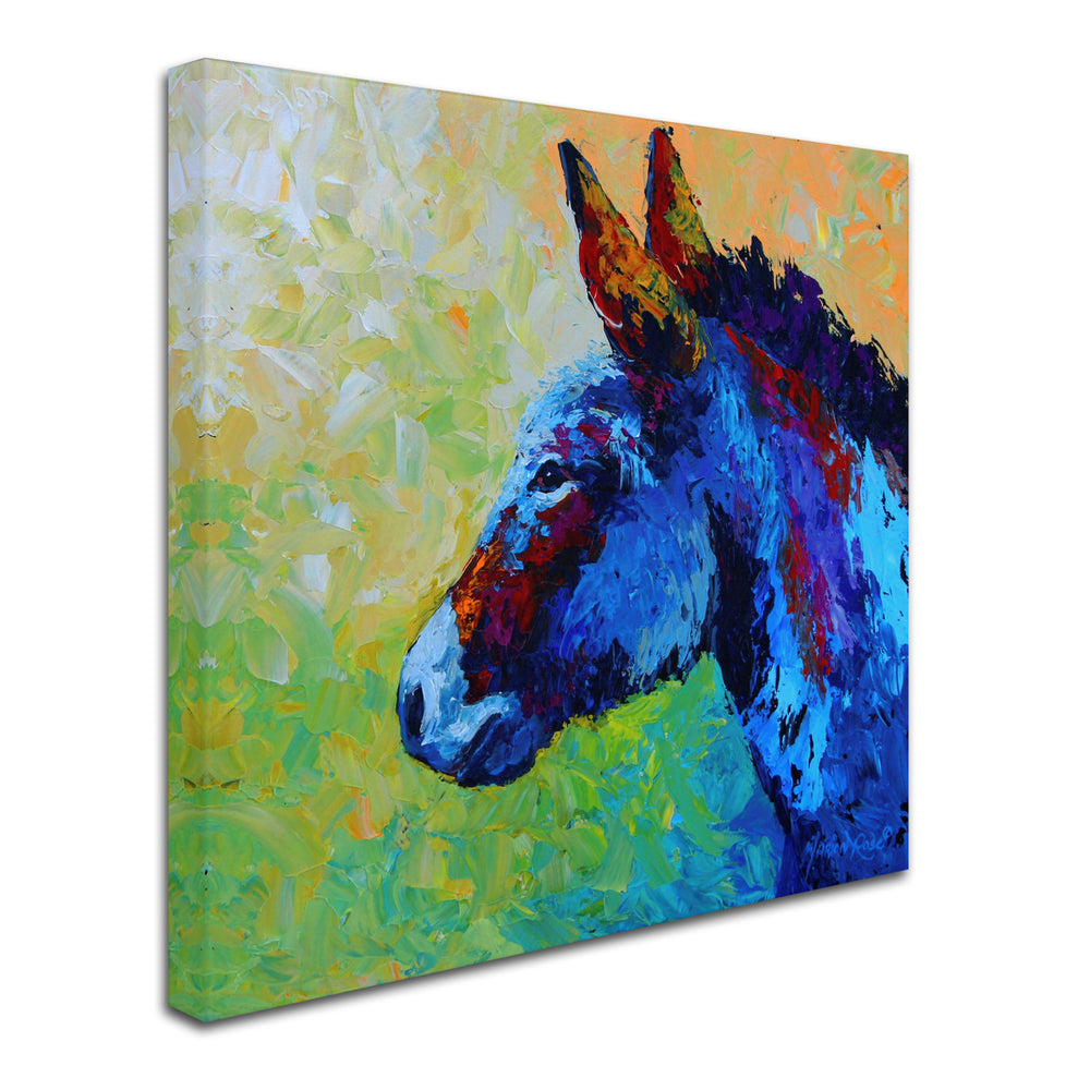 Marion Rose Burro Ready to Hang Canvas Art 14 x 14 Inches Made in USA Image 2