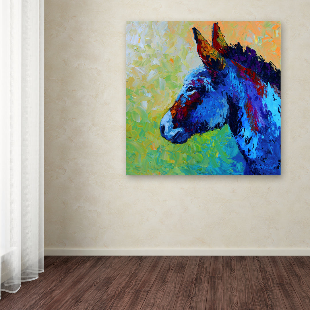 Marion Rose Burro Ready to Hang Canvas Art 14 x 14 Inches Made in USA Image 3