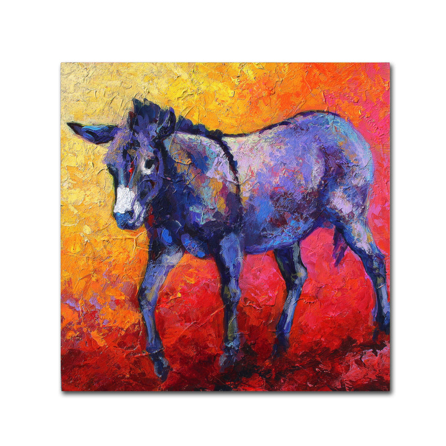 Marion Rose Burro II Ready to Hang Canvas Art 14 x 14 Inches Made in USA Image 1