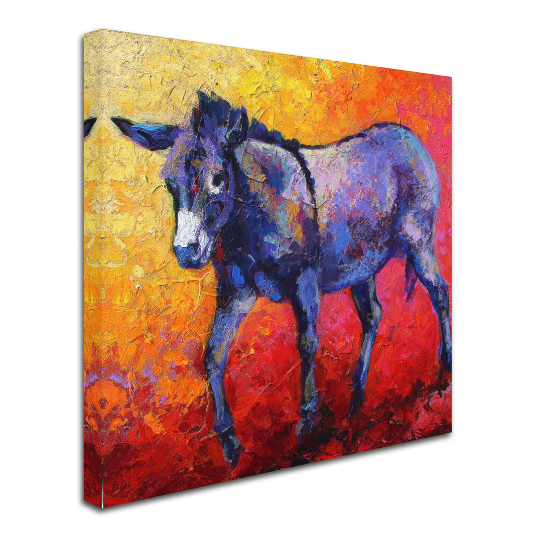 Marion Rose Burro II Ready to Hang Canvas Art 14 x 14 Inches Made in USA Image 2