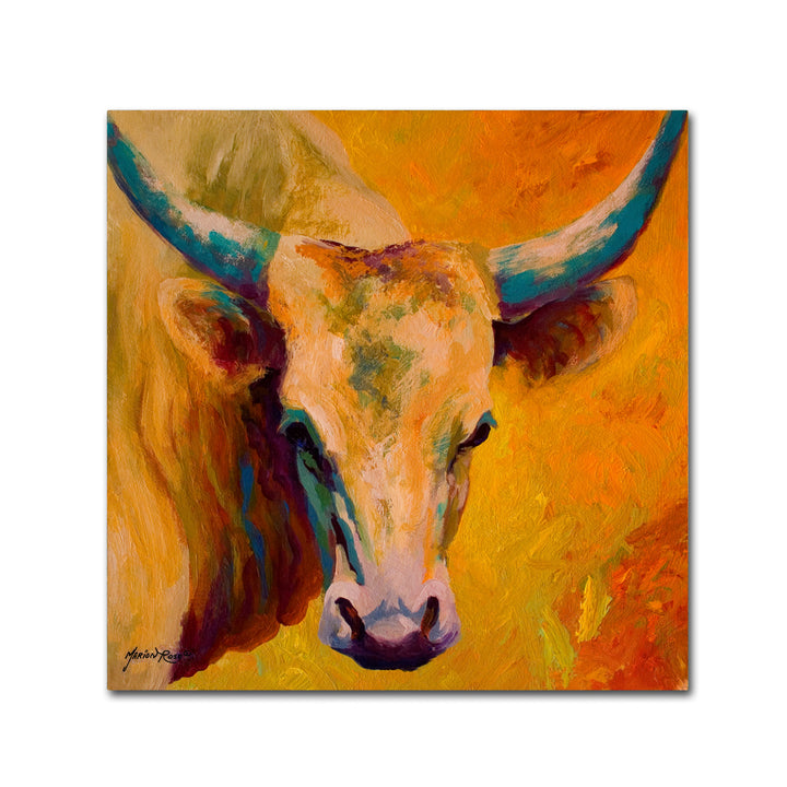 Marion Rose Creamy Texan Ready to Hang Canvas Art 14 x 14 Inches Made in USA Image 1