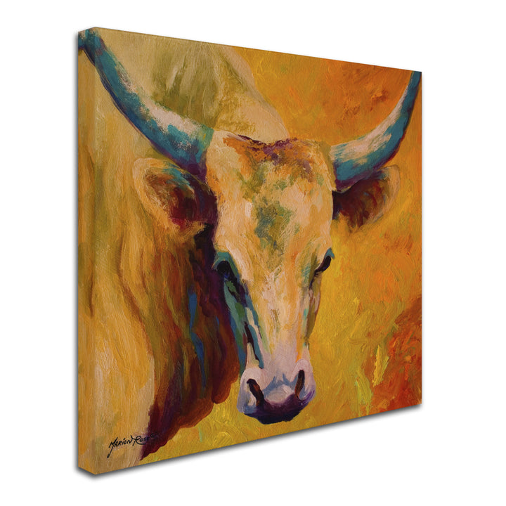 Marion Rose Creamy Texan Ready to Hang Canvas Art 14 x 14 Inches Made in USA Image 2