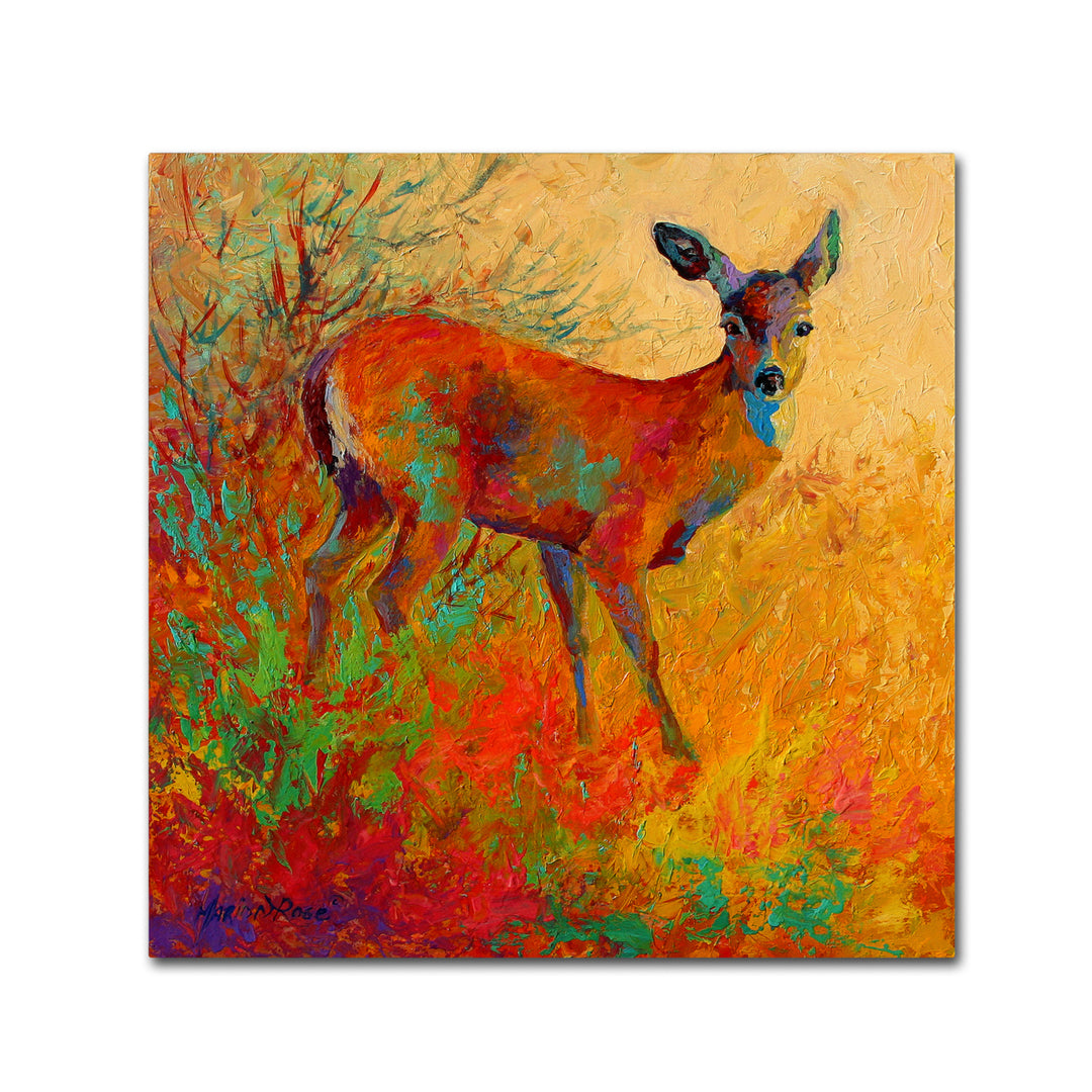 Marion Rose Doe Ready to Hang Canvas Art 14 x 14 Inches Made in USA Image 1